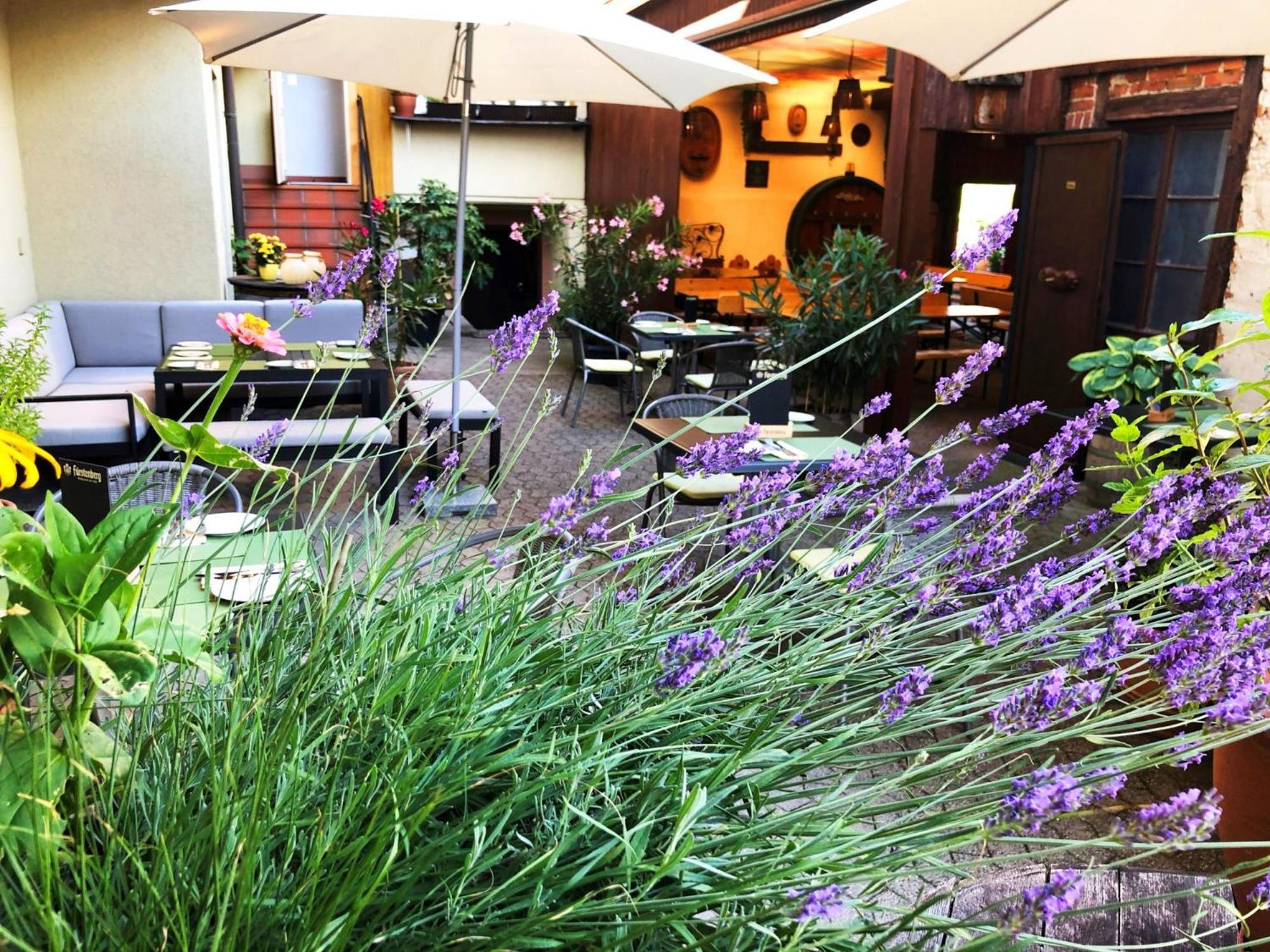 Appartements 'In Vino Veritas' ฮาสลัค อิม คินซิกทัล ภายนอก รูปภาพ