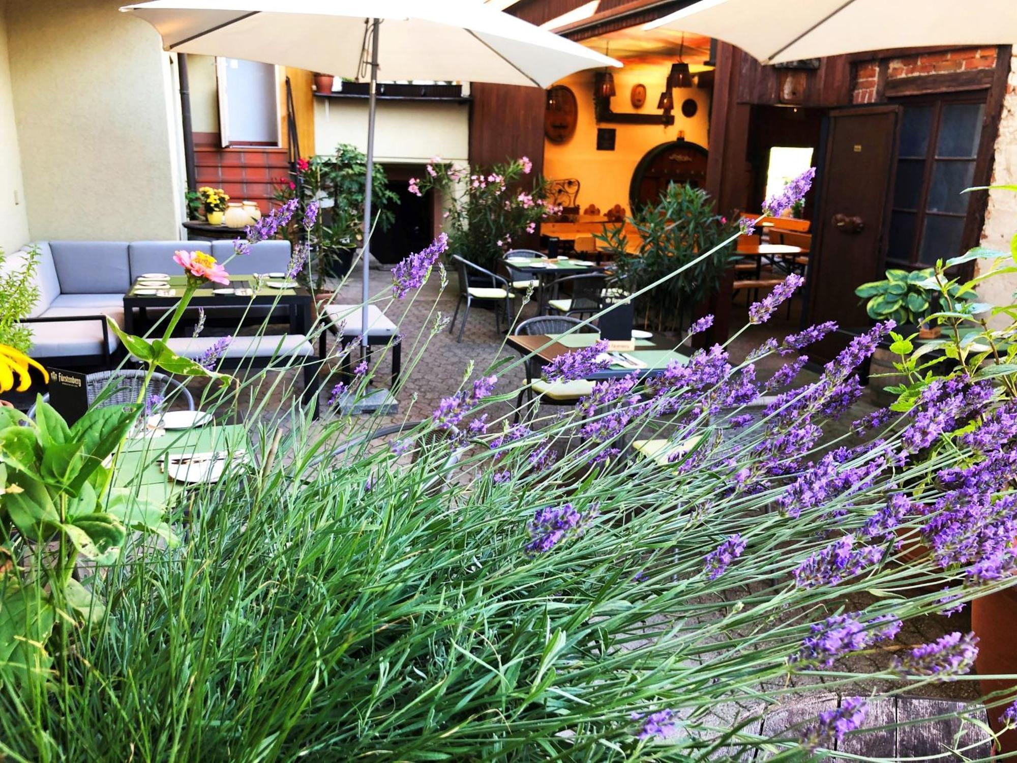 Appartements 'In Vino Veritas' ฮาสลัค อิม คินซิกทัล ภายนอก รูปภาพ